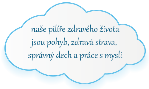 Naše pilíře zdravého života jsou pohyb, zdravá strava, správný dech a práce s myslí